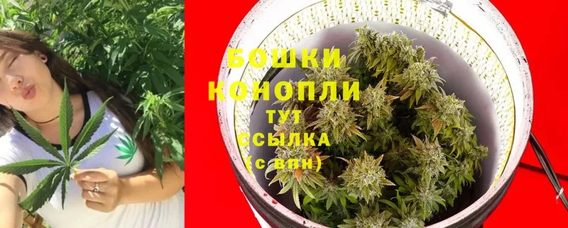 Шишки марихуана Ganja  закладка  KRAKEN   Белокуриха 